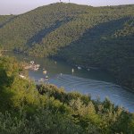 sveta marina